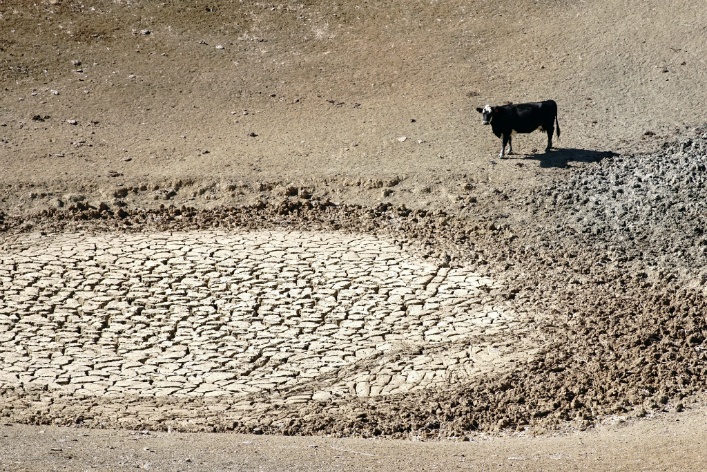 Pond depleted due to drought, Calif.
US Department of Agriculture, photo 
by Cynthia Mendoza 
