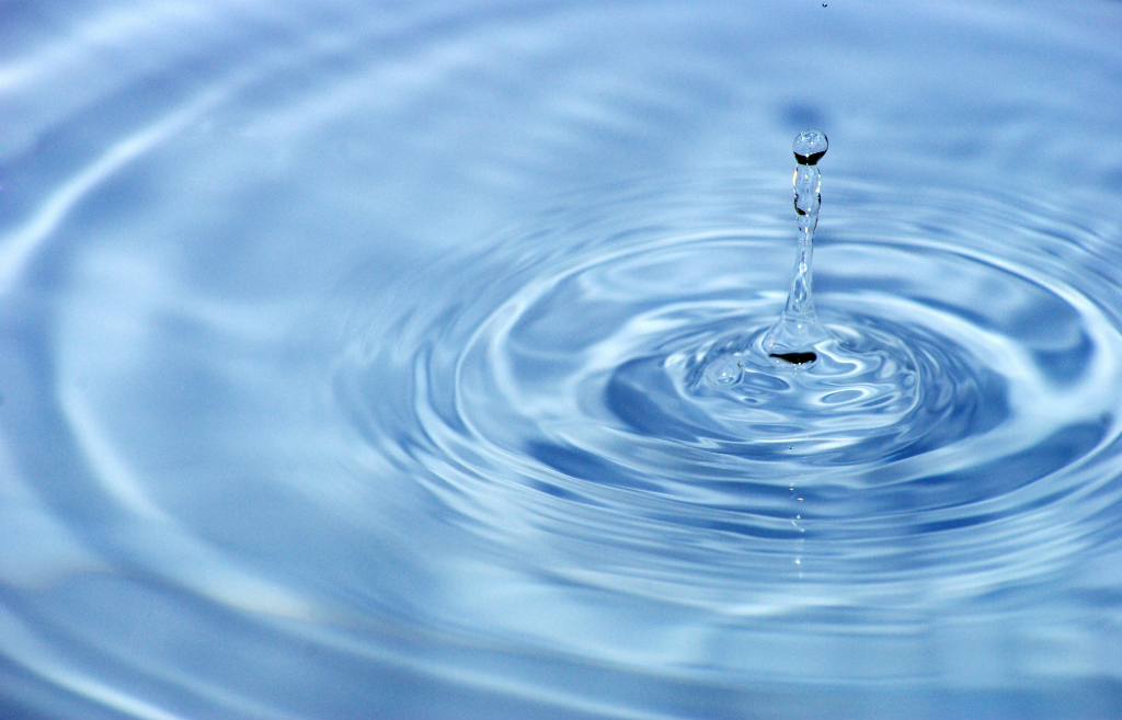 Water droplet and ripples
Pakhnyushchy/Shutterstock.com 
