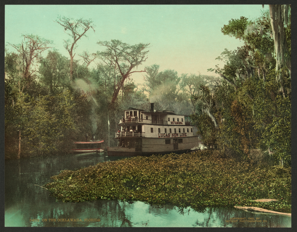 River Steamboat, Fla., 1902
Library of Congress
